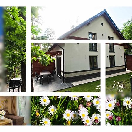 Daisy - Sunny Flowers Apartments Łukęcin Eksteriør billede